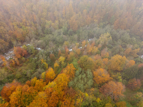 Aerial view of Parco Nazionale dell'Appennino Tosco-Emiliano with vibrant autumn foliage and a winding stream shrouded in morning mist in Massa-Carrara, Italy.
