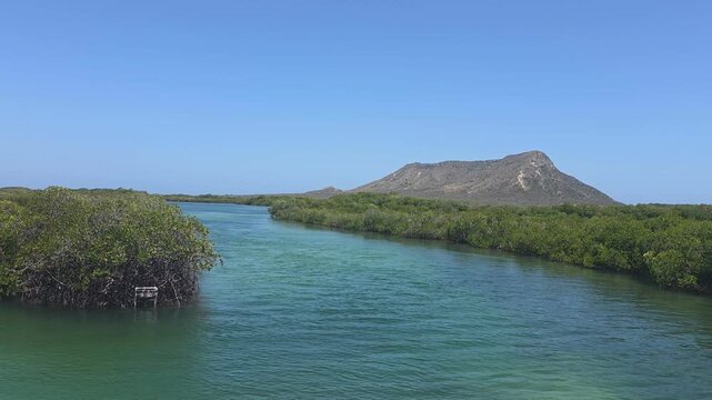 Serene mangrove channel in Montecristi, Dominican Republic, with calm turquoise water winding through lush mangrove forest. The iconic El Morro mountain rises in the background under a clear blue sky,