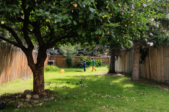 Two young boys spending time in their backyard on a warm summer day