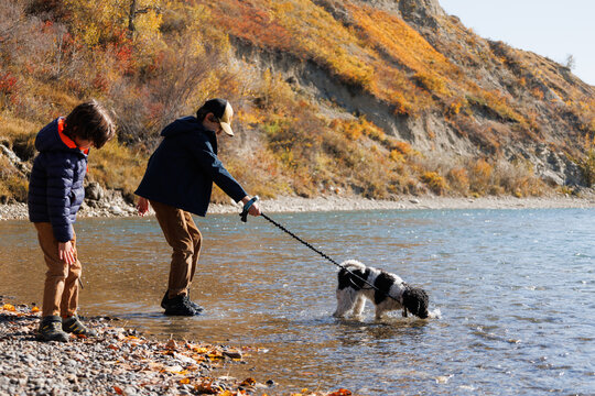 Two young boys having fun with their dog by a river on a sunny day