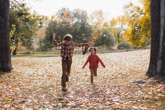 Two young boys having fun with Autumnal leaves in a park