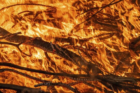 Blazing fire with intensely burning branches and hot embers, Finland