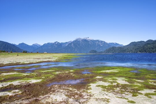 Shores of Lake Chapo, Los Lagos, Patagonia Verde, Chile