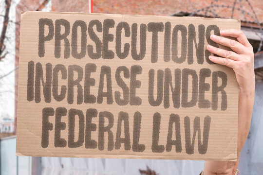 "Prosecutions increase under federal law" Prosecutions increase under federal law. CASES. RISE. TAKEITDOWN. PROSECUTIONS. FEDERAL.