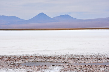 Laguna Tebinquinche - high-salinity lake in the Atacama Desert, Chile. © Gennady
