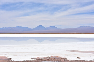 Laguna Tebinquinche - high-salinity lake in the Atacama Desert, Chile. © Gennady