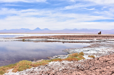 Laguna Tebinquinche - high-salinity lake in the Atacama Desert, Chile. © Gennady