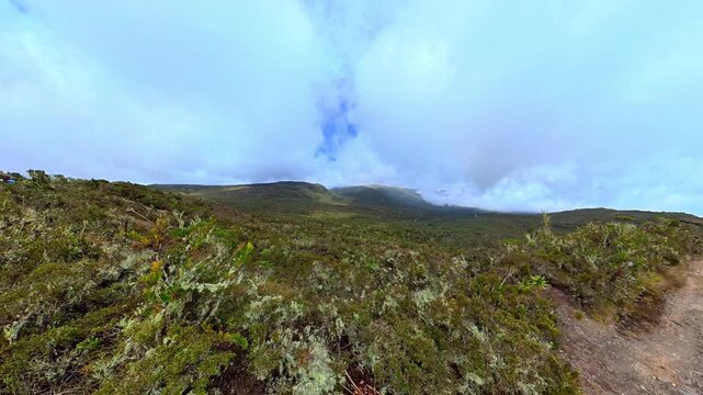 Hiking on a mountain trail in the colombian paramos