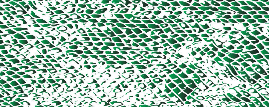 Green snake skin texture pattern on white background. Abstract reptile scale vector graphic design element.