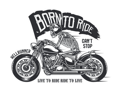vector illustration