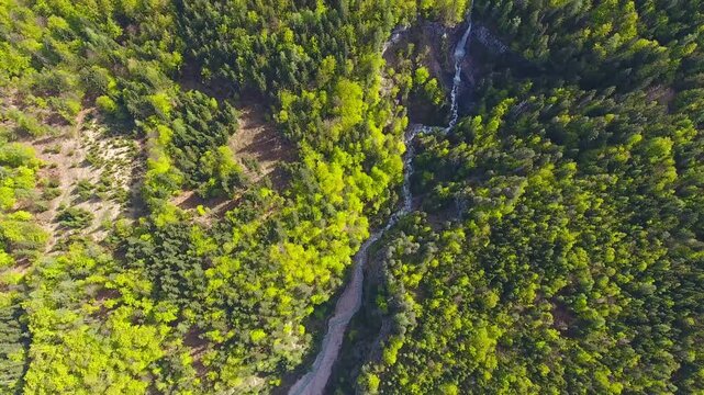 Aerial view of the lush forest and winding river near Triglav in the alpine landscape of Mojstrana, Jesenice, Slovenia.