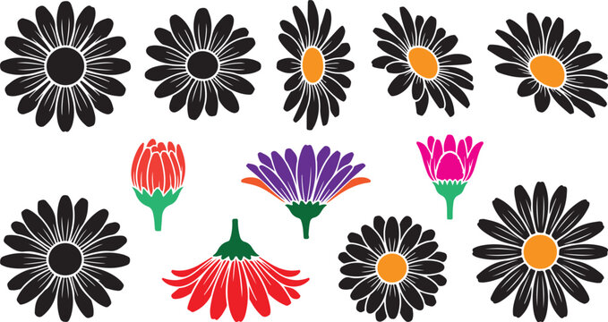 Set of black and colorful daisy flower icons in various angles and bloom stages