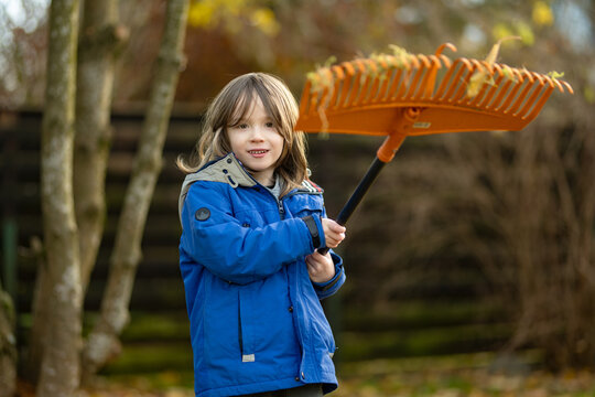 Young child helps rake fallen leaves in the backyard on an autumn day. Kid holding a garden rake outdoors, seasonal yard work and family gardening concept.