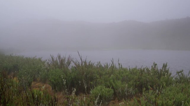 Foggy mountain lake in a paramo ecosystem