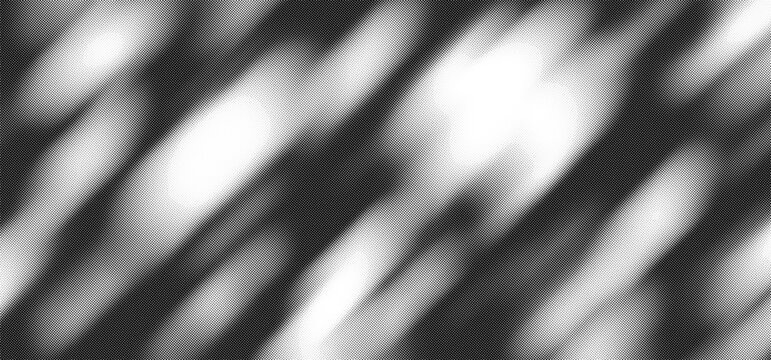 Tree Shadow Background with Sun Light. Overlay Sunlight Gobo Effect. Tree Leaves Shadow Overlay Bg. Abstract Nature Plant Pattern. Leaf Silhouette with Summer Sunshine Halftone Texture.