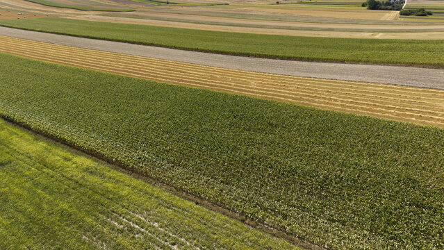 Aerial view of agricultural fields with diverse crops, including green corn and harvested golden wheat, creating a textured landscape pattern in Poland.