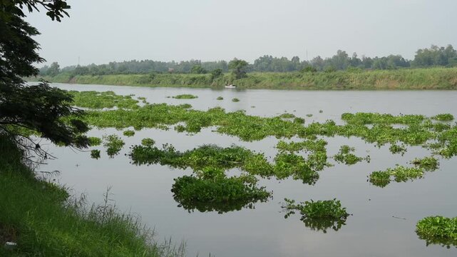 Peaceful Lake Landscape with Floating Water