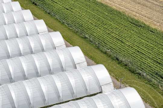 Aerial view of rows of white plastic foil tunnels used for horticulture in agricultural fields in Poland.