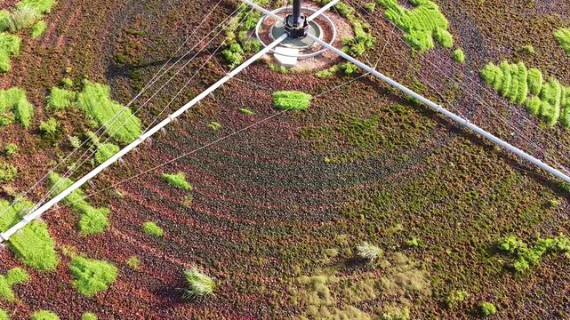 Aerial view of the circular structure at Raunds Recycling Centre with patches of green and reddish vegetation in Raunds, England, United Kingdom.