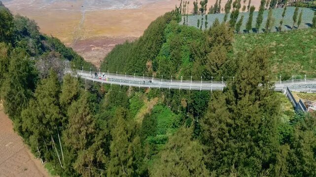 Aerial view of the Jembatan Kaca glass bridge surrounded by lush trees and agricultural fields in Kecamatan Sukapura, Jawa Timur, Indonesia.
