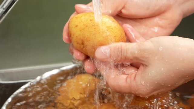 Woman hands washing fresh organic potato under running tap water.