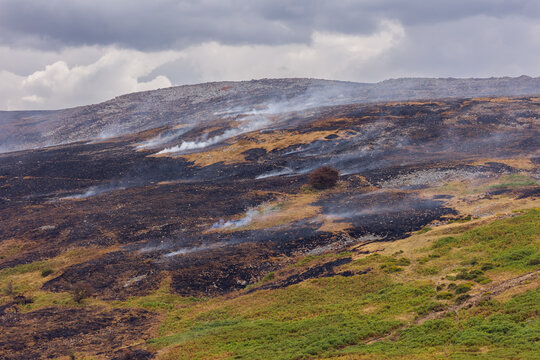 Burnt hillside vegetation smoldering under overcast sky, patches of blackened moorland contrasted against green bracken slopes below