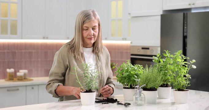 Woman transplanting herb into pot at light marble table in kitchen