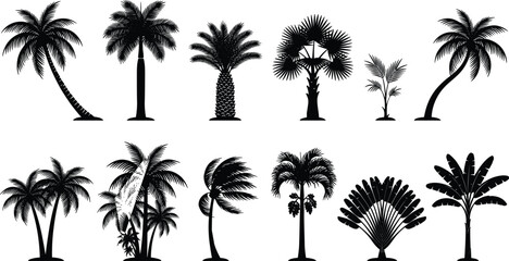 Naklejka premium Tropical Palm Tree Silhouette Vector Set with Various Exotic Species and Coconut Palms for Beach Summer Vacation and Resort Travel Branding Graphics