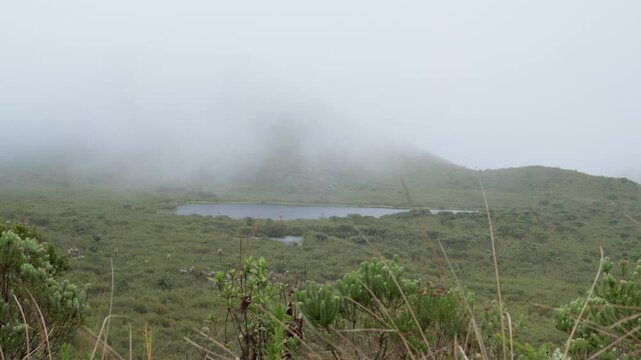 Foggy mountain landscape in colombian paramo