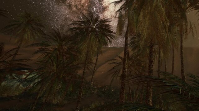 Stars fill the night sky above tall palm trees in a desert area. The scene shows a sandy landscape illuminated by the light from the stars.