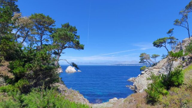 View of Point Lobos, California,