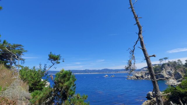 View of Point Lobos, California,
