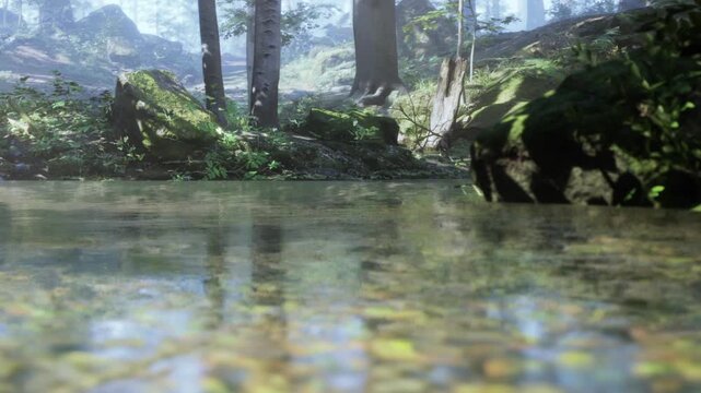 A stream flows through a green forest during daylight. Sunlight shines through the trees, highlighting rocks and plants near the water. The scenery shows natural beauty and wildlife.