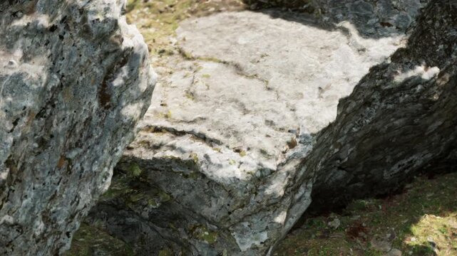 A large rock formation covered in moss and grass. It is located in a natural outdoor area with no apparent human activity. The time of day appears to be bright.