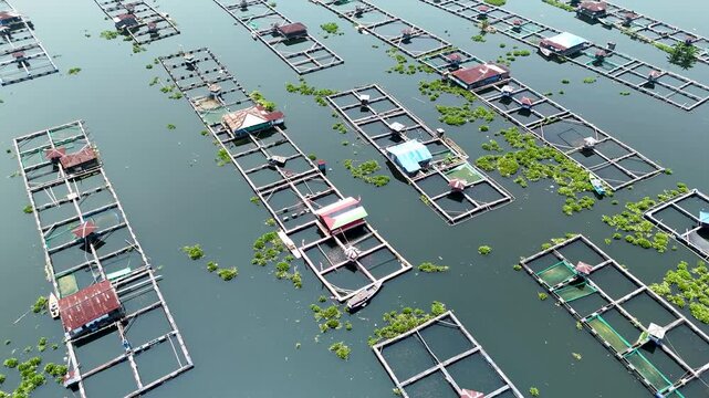 Aerial view of Waduk Cirata fish farms with floating cages and small wooden structures on the water surface in Cianjur, West Java, Indonesia.