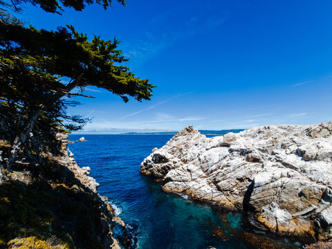 View of Point Lobos, California,