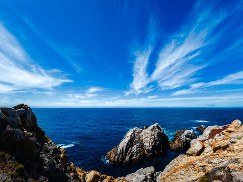 View of Point Lobos, California,