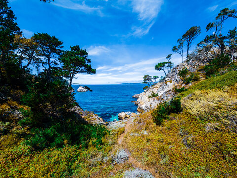 View of Point Lobos, California,