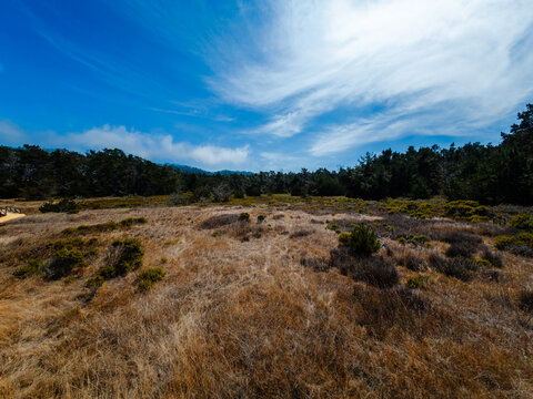 View of Point Lobos, California,