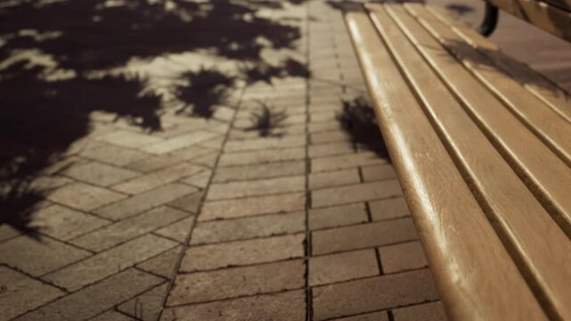 A wooden bench sits along a brick pathway in a park. The sunlight creates shadows from nearby plants on the ground, adding texture to the scene.