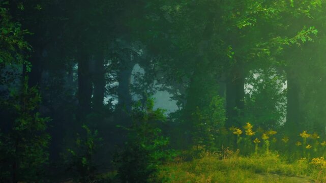 In a forest during early morning, tall trees surround green shrubs and grass. Mist covers parts of the ground, creating a soft and hazy view.