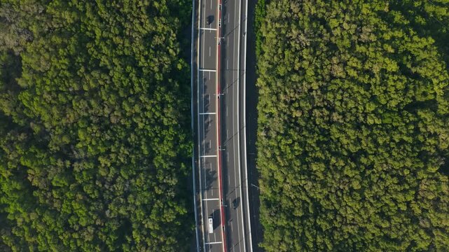 Aerial view of Bali Mandara Toll Road surrounded by lush mangrove forests with cars driving on the asphalt highway in Kecamatan Kuta Selatan, Bali, Indonesia.