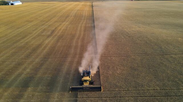 Aerial drone footage of a yellow combine harvester cutting wheat in a field during harvest time.