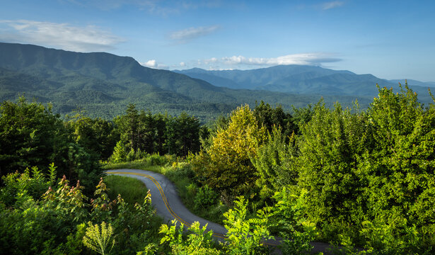 Curvy Road Winding Through Mountain - Travel