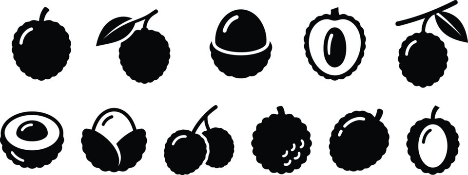 Set of black and white hand drawn lychee fruits vector illustration