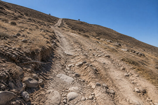 Steep unpaved trail on dry rocky hillside with ruts and exposed roots, arduous hiking path concept