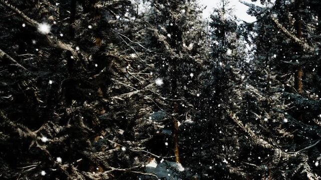 Snow is falling in a forest filled with tall green trees. The ground is covered in white snow. This scene shows the beauty of winter in a forest area.
