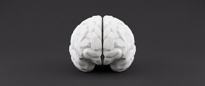 White low poly human brain model centered on a dark grey background represents artificial intelligence cognitive psychology neurology or mental health concept.