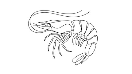 Fototapeta premium Single Line Drawing Shrimp Isolated on Transparent Background Minimalist Seafood Icon