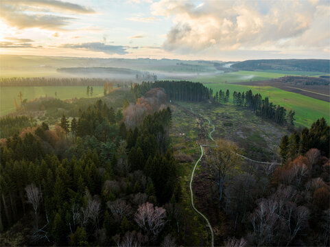 Aerial view of a winding path through a dense forest with misty fields and rolling hills under a golden sunset sky in CZ.
